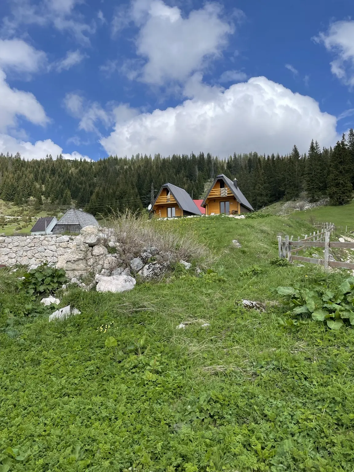 Wooden cabins on a green meadow beside the Durmitor mountains