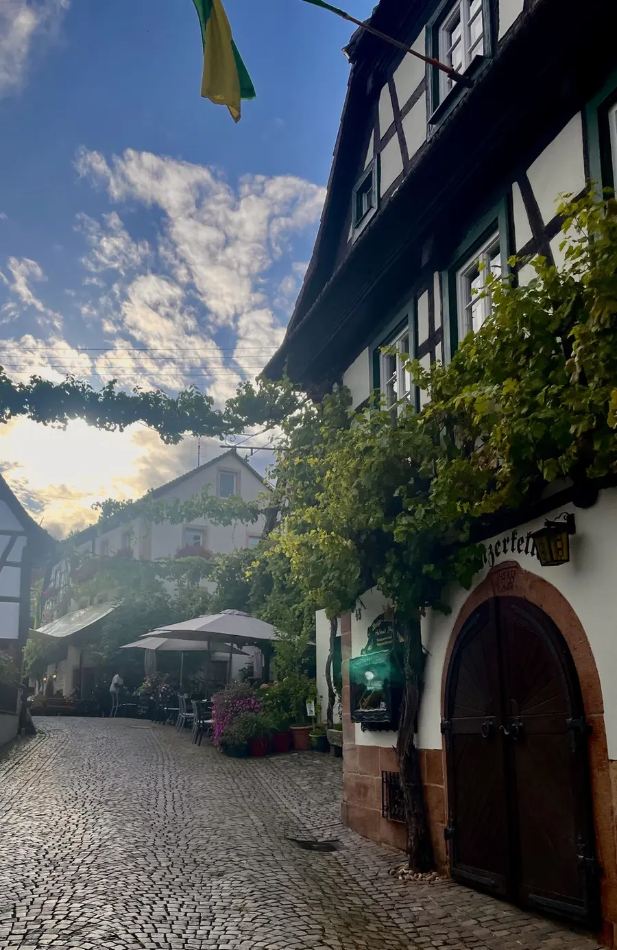 Historic Winzergasse with half-timbered houses and vines in Gleiszellen-Gleishorbach