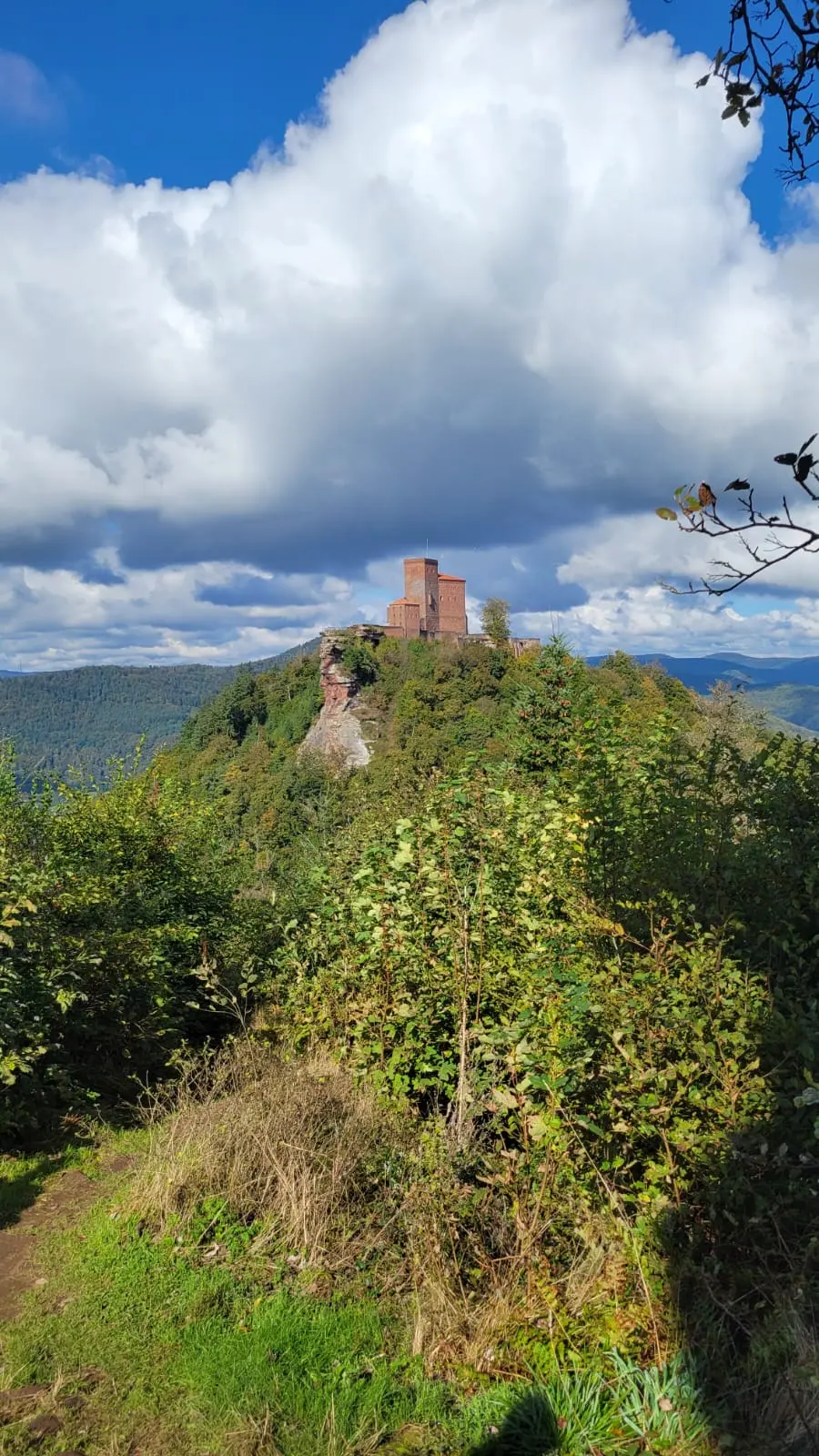 View from a hiking trail towards Trifels Castle above the forested hills near Annweiler