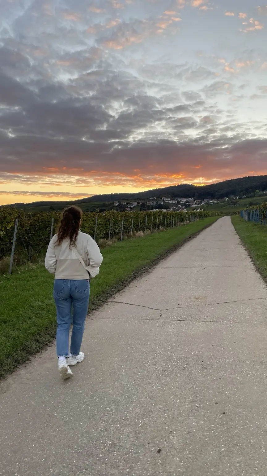 A woman walking through vineyards beneath a colourful sunset