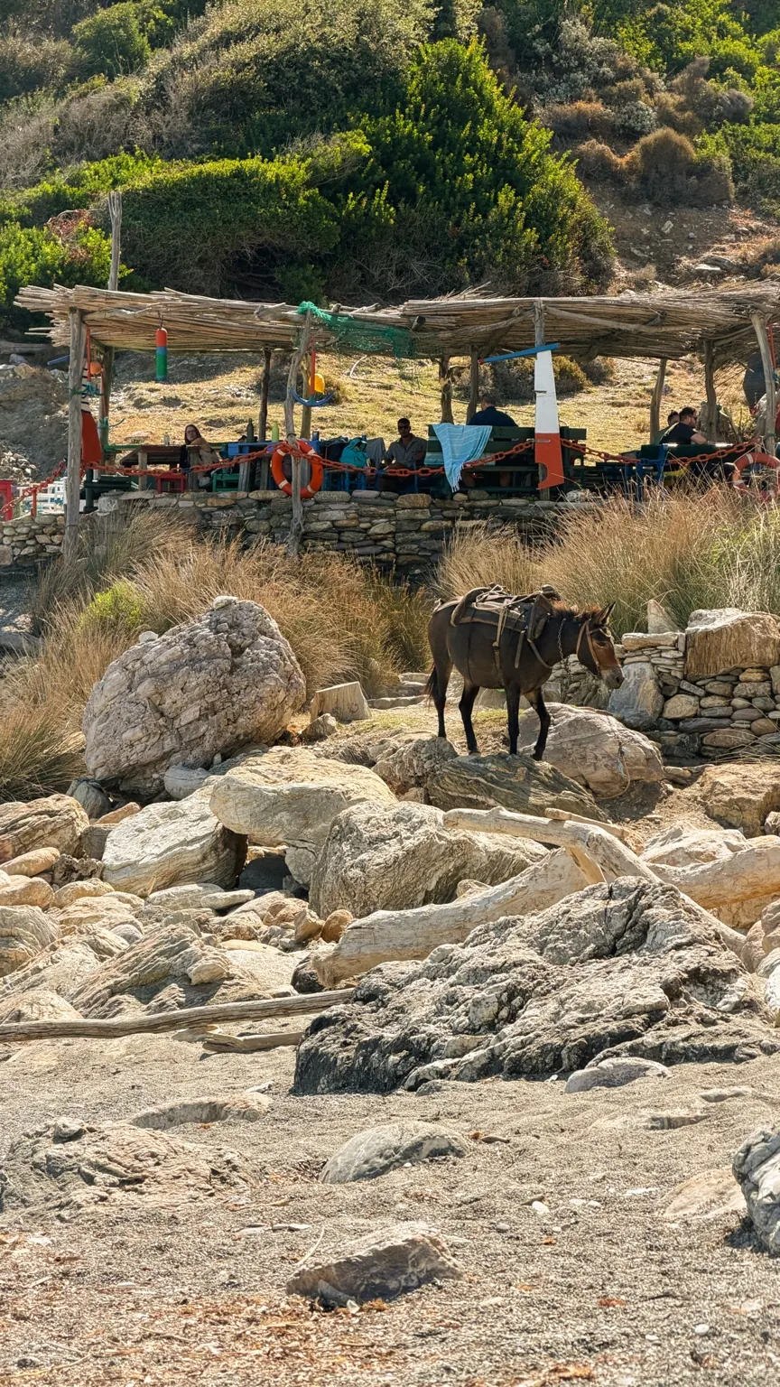 Kastro Beach on Skiathos