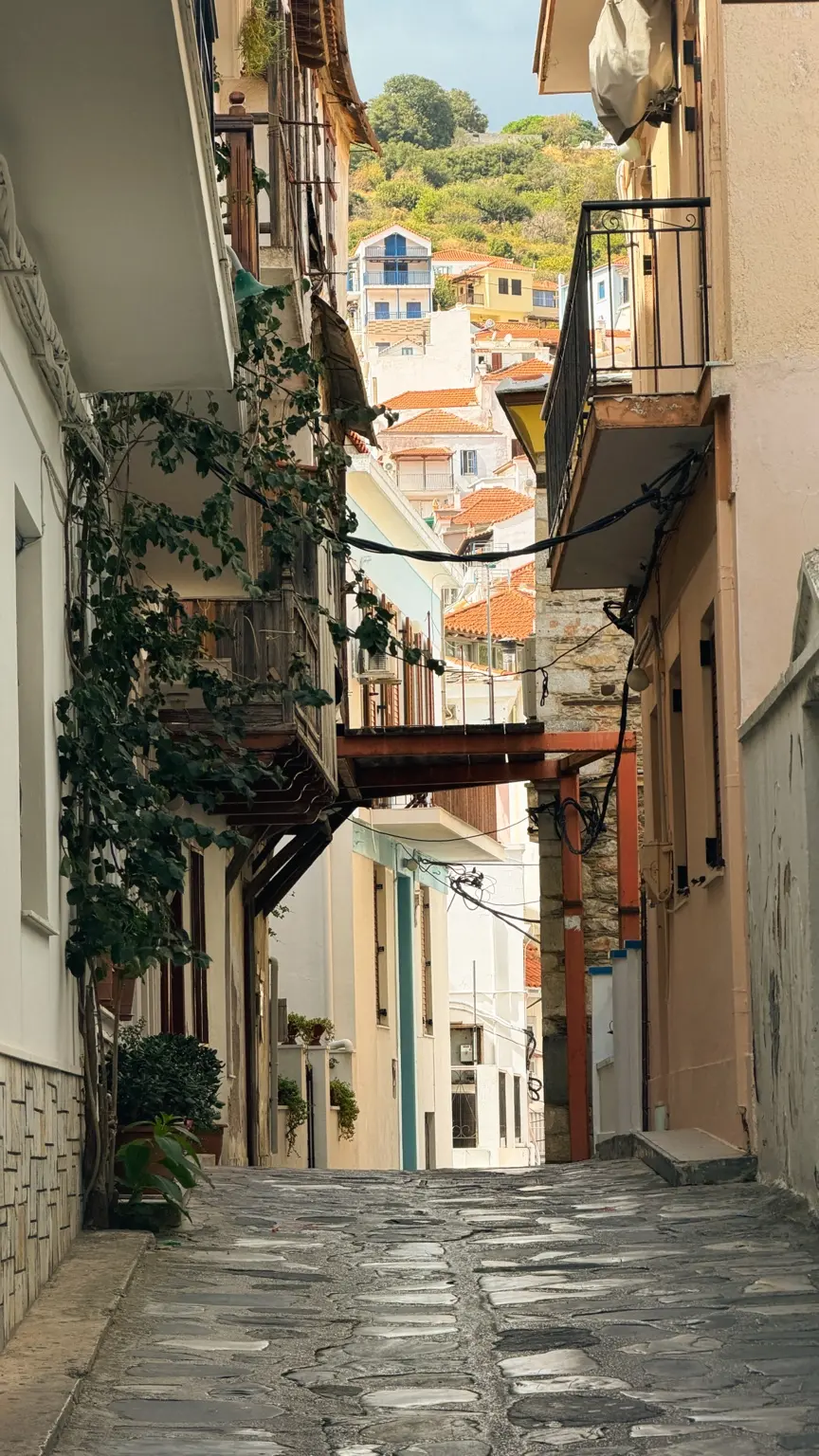 A narrow stepped lane in Skopelos Town