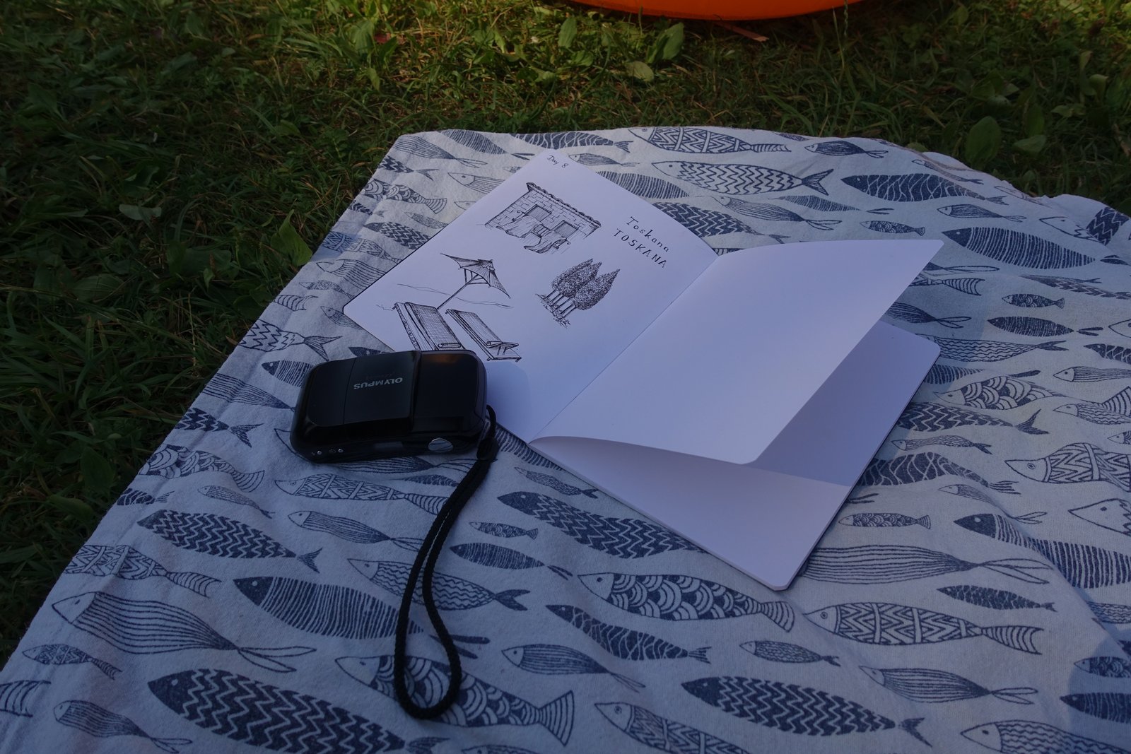 Open travel journal and camera on a picnic blanket