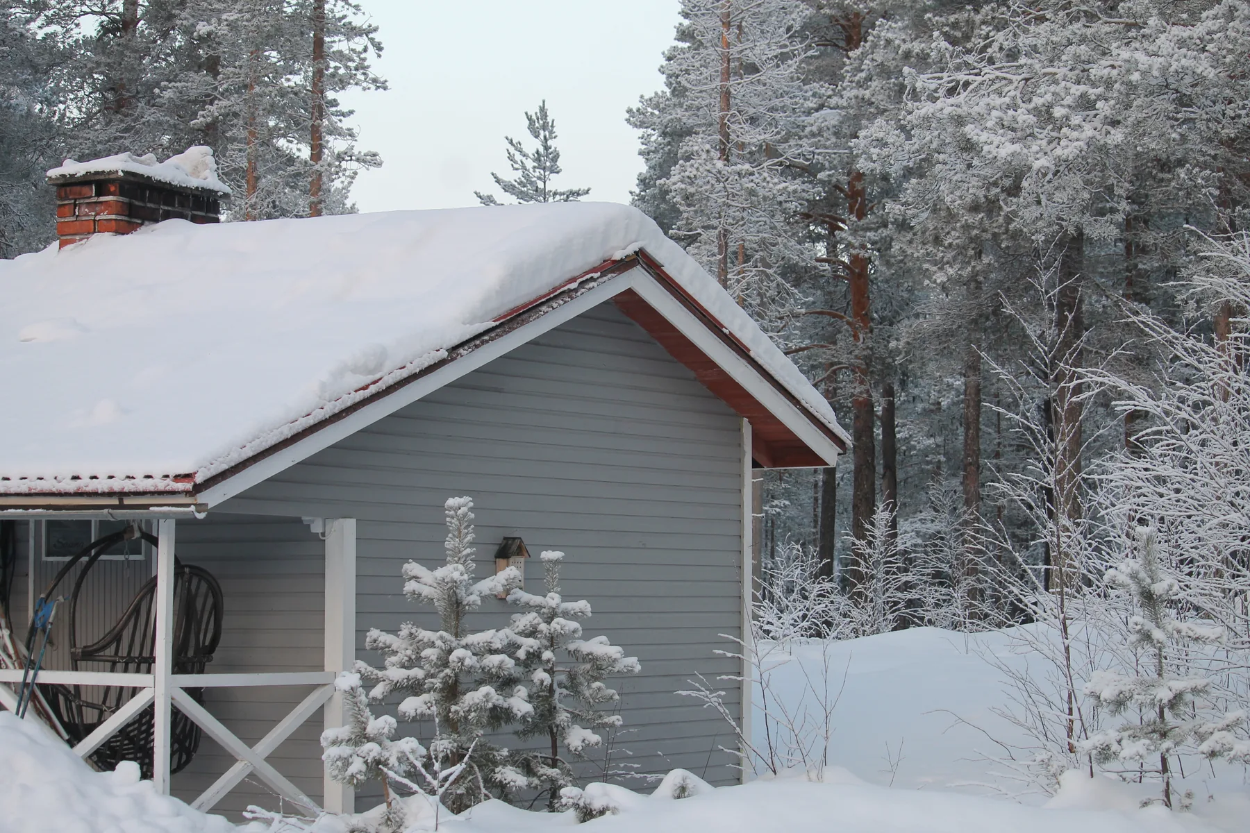 Snow-covered wooden house beside a forest near Meltosjärvi