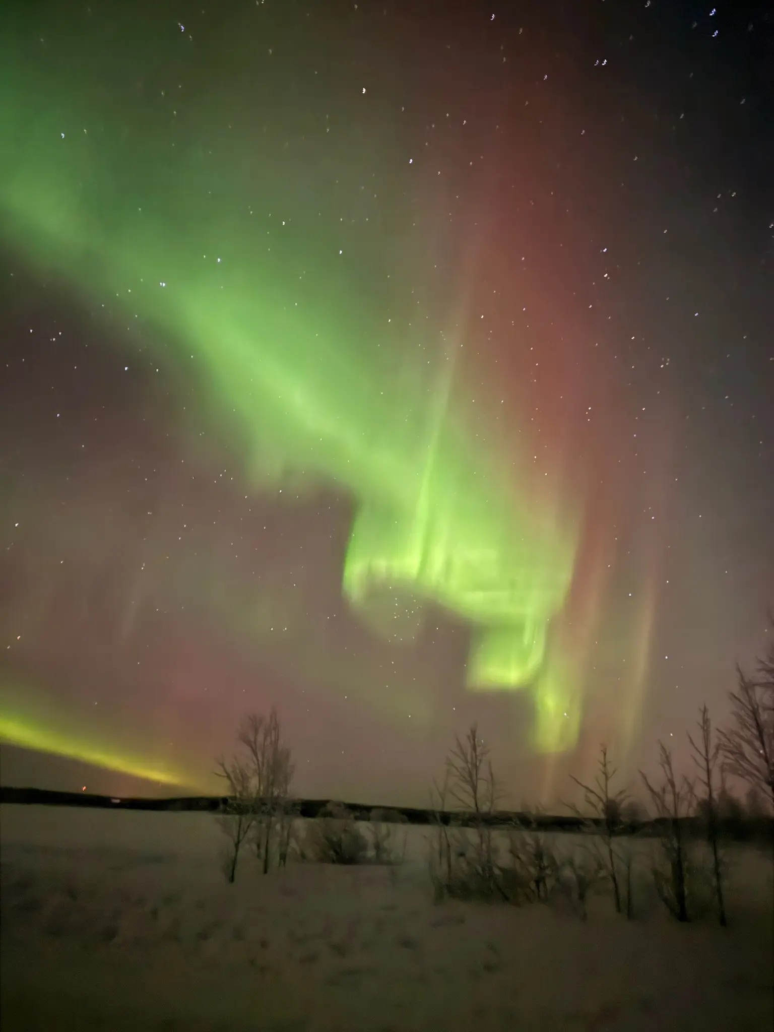 Bright green and reddish northern lights above a snowy landscape in Finnish Lapland
