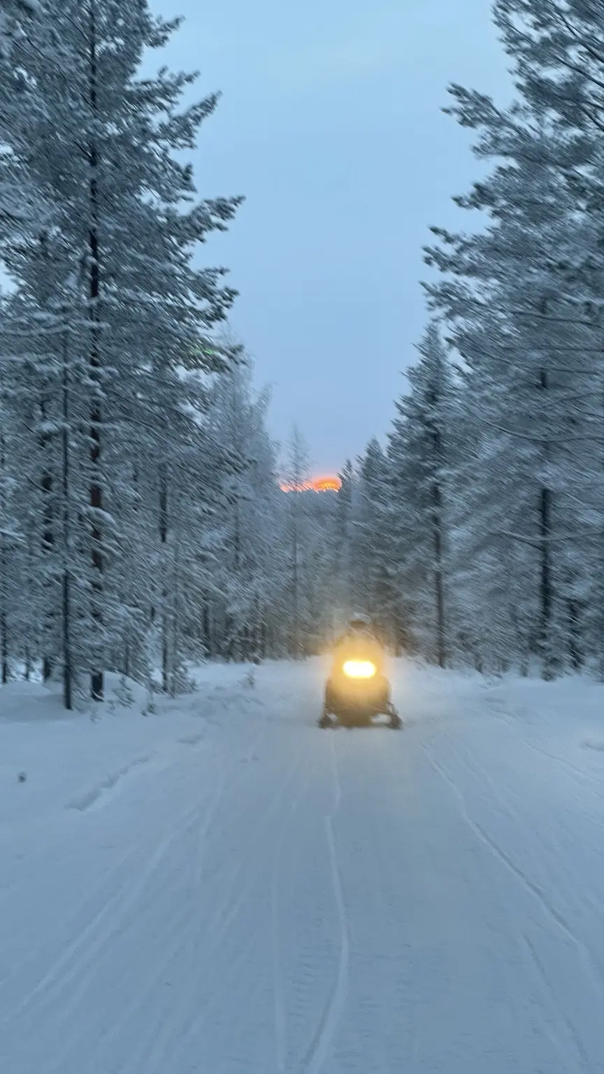 Snowmobile with its headlight on travelling through a snowy Finnish forest